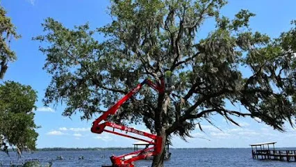 Tree Pros Of Florida